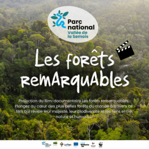 Projection du film-documentaire Les forêts remarquables