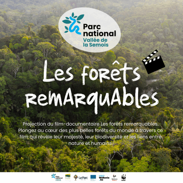 Projection du film-documentaire Les forêts remarquables