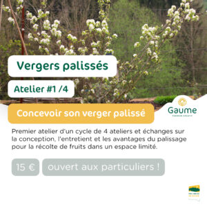 Vergers palissés : Atelier #1 - Conception d'un verger palissé