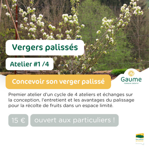 Vergers palissés : Atelier #1 - Conception d'un verger palissé