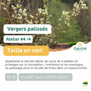 Vergers palissés : Atelier #4 - Taille en vert