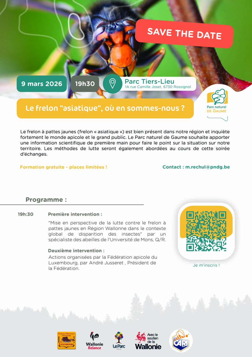 Le frelon à pattes jaunes, où en sommes-nous ? – Image 2