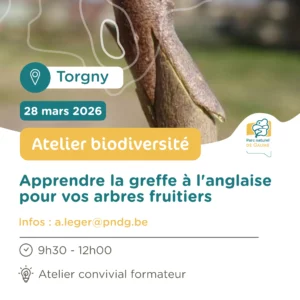 Atelier biodiversité : La “greffe à l’anglaise”