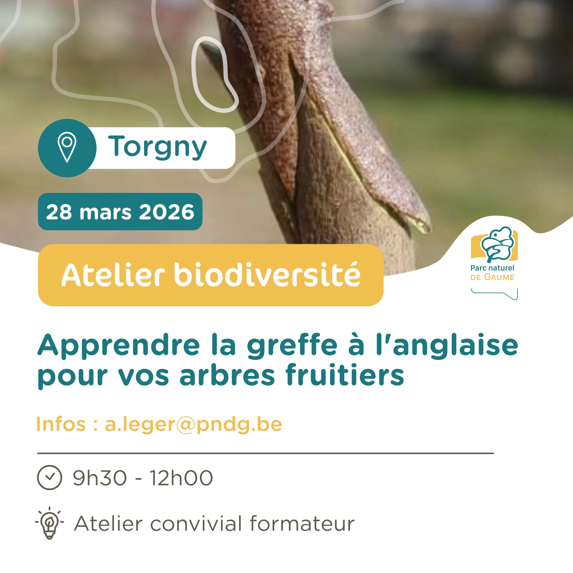 Atelier biodiversité : La “greffe à l’anglaise”