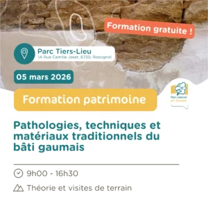 Formation : Pathologies, techniques et matériaux traditionnels du bâti gaumais