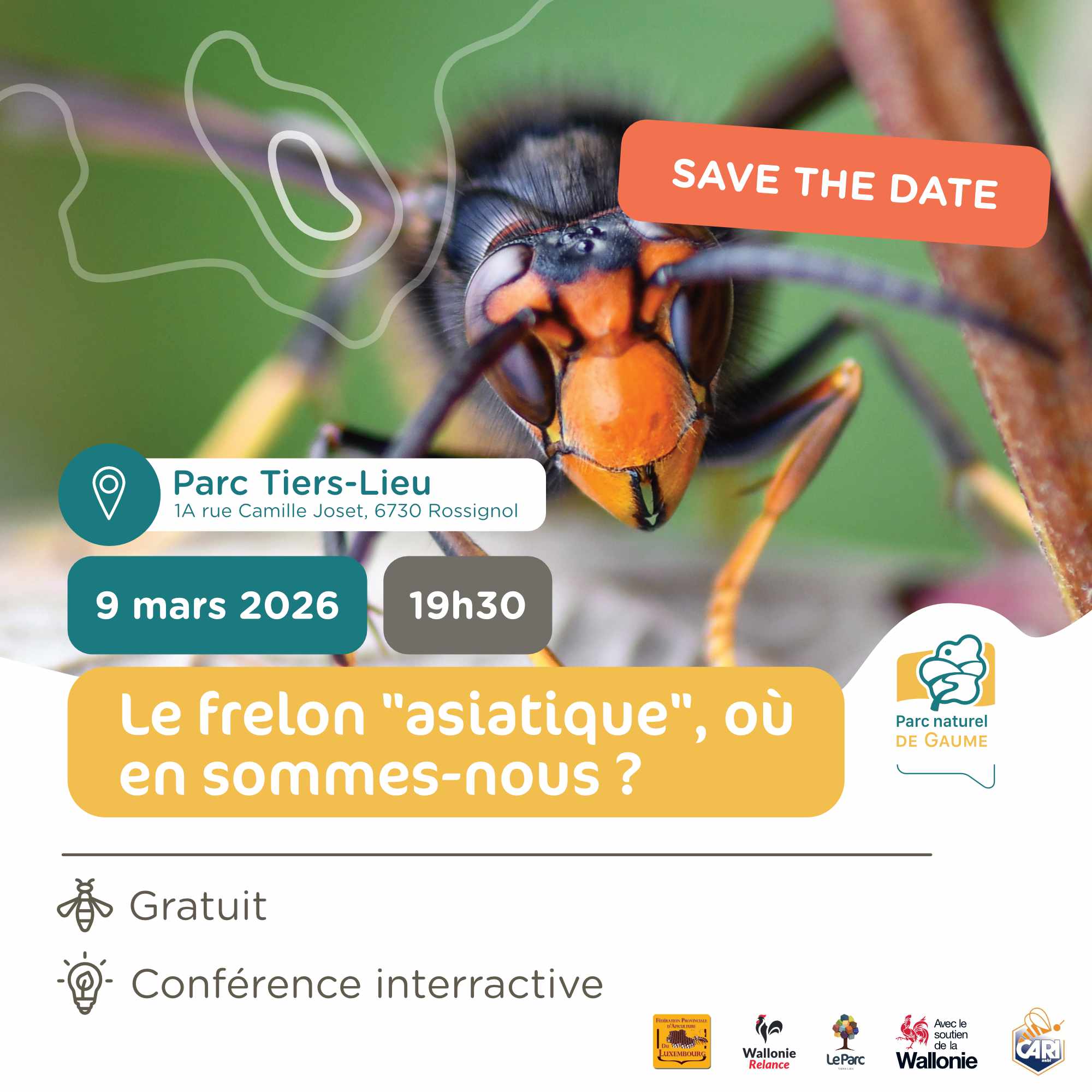 Le frelon à pattes jaunes, où en sommes-nous ?