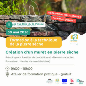 Atelier participatif : création d'un muret en pierre sèche