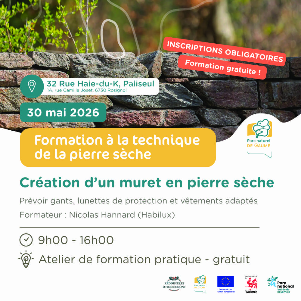 Atelier participatif : création d'un muret en pierre sèche
