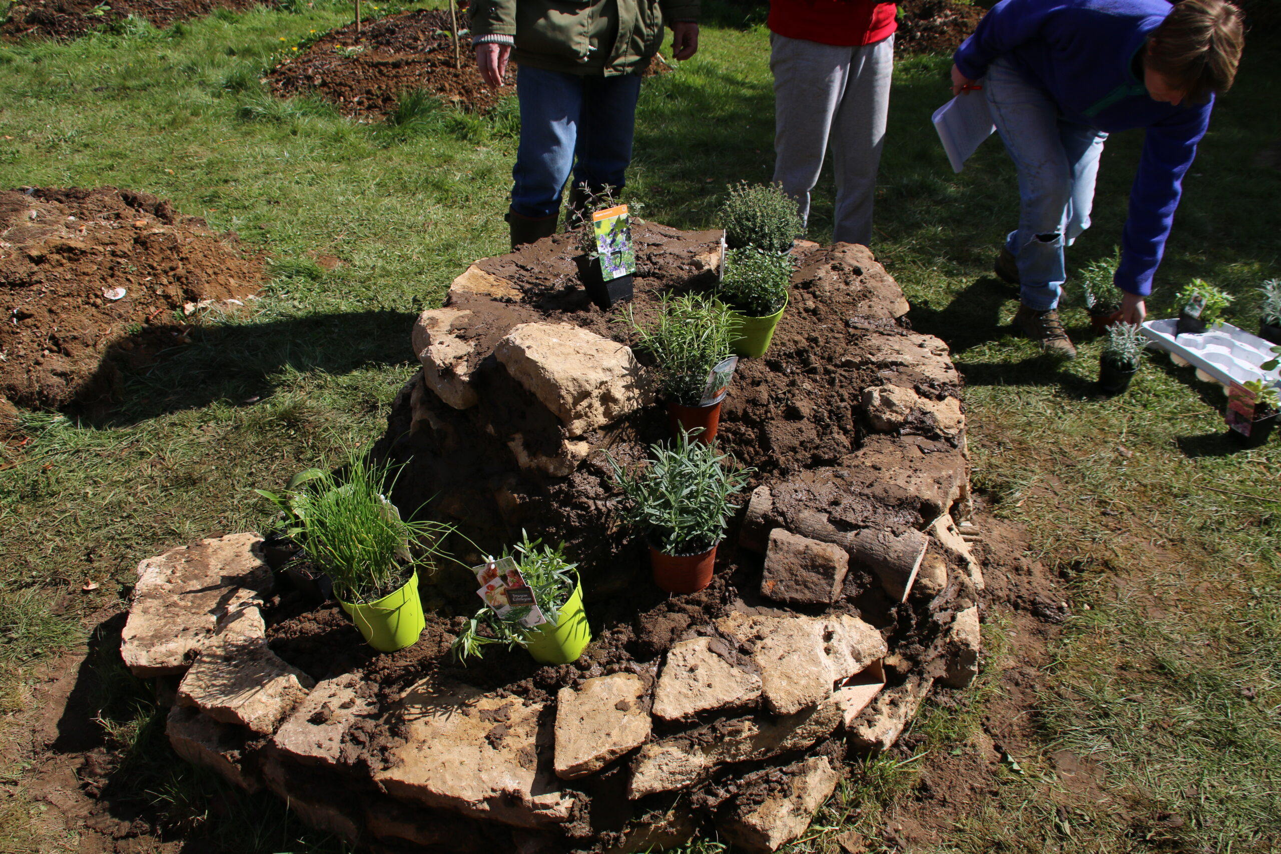 Réalisation d'une spirale aromatique - Festival Nature Rouvroy – Image 3
