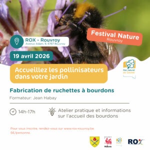 Fabrication de ruchettes à bourdons - Festival Nature Rouvroy